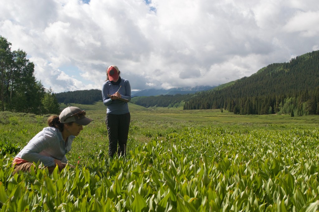 Photo by James Den Uyl